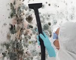 Best Industrial Mold Remediation  in Glespie, IL